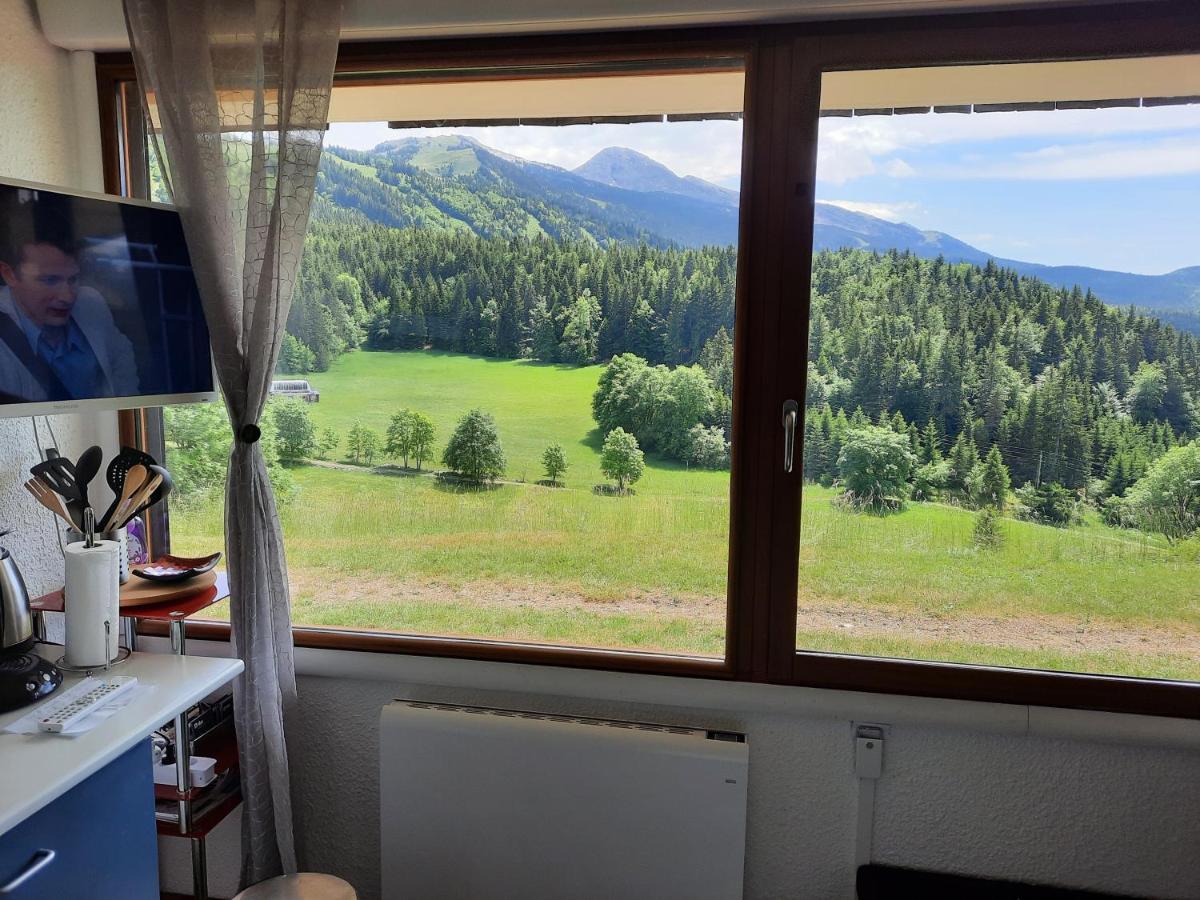 Les Glovettes Villard De Lans Kültér fotó