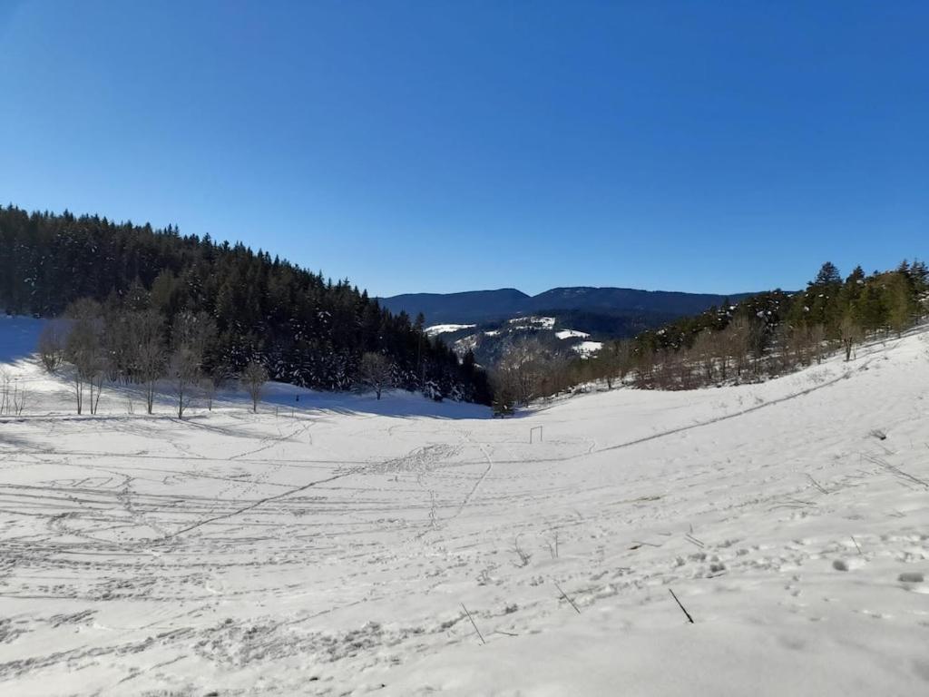 Les Glovettes Villard De Lans Kültér fotó